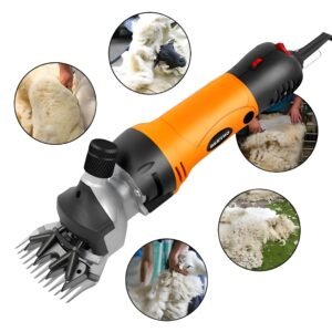 Tondeuse Électrique Professionnelle Pour Moutons 350W BE002 – BEETRO
